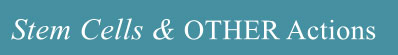 ANTI CANCER ACTIONS